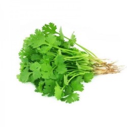 Veg Coriander 20g (nutri)
